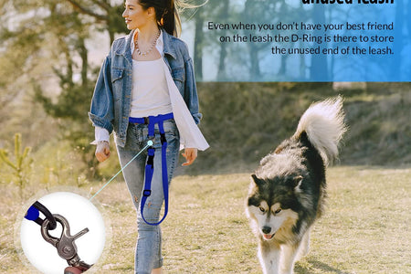 Hands Free Dog Leash, Adjustable Leash for Running, Jogging, Training and Service Dogs, Great for Small, Medium and Large Dogs, Made in USA (Royal Blue, Large Belt (27"- 50" Waist))