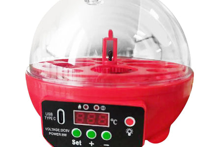 Automatic Digital Poultry Ing Machine, Automatic Egg Turner Temperature Control Small 6 Egg Incubator for Chicken Ducks Quail Red