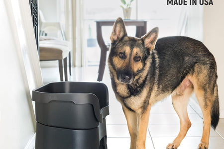 Neater Feeder - Deluxe Model Adjustable Height - Mess-Proof Dog Bowls (Large, Midnight Black) - Made in USA - Elevated, No Spill, Non-Tip, Non-Slip, Raised Stainless Steel Food & Water Pet Bowls